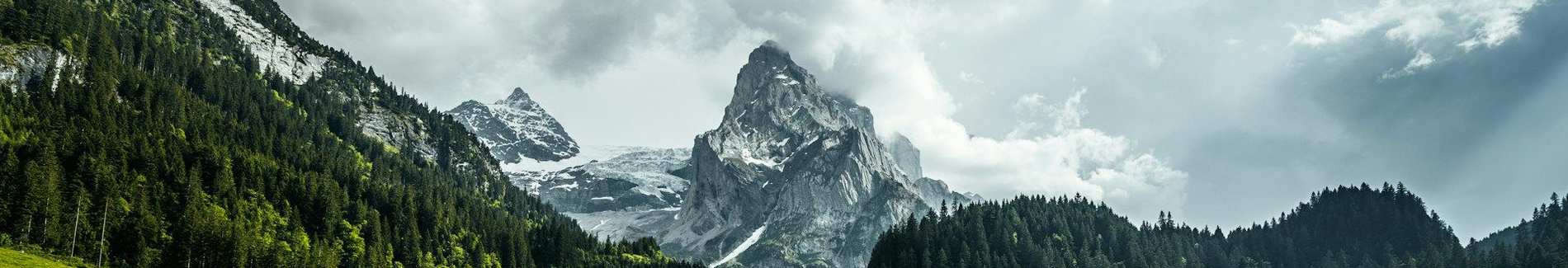 Butler Office Hüberli